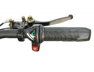 Electric quad online bike 1300w
